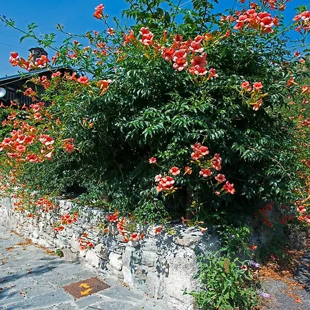 Apartament Lo Pailleron *